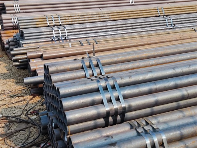 IMG_20230401_160648.jpg